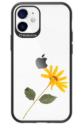 Pressed Flower - Apple iPhone 12 Mini
