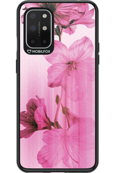 Floro - OnePlus 8T