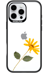 Pressed Flower - Apple iPhone 16 Pro Max