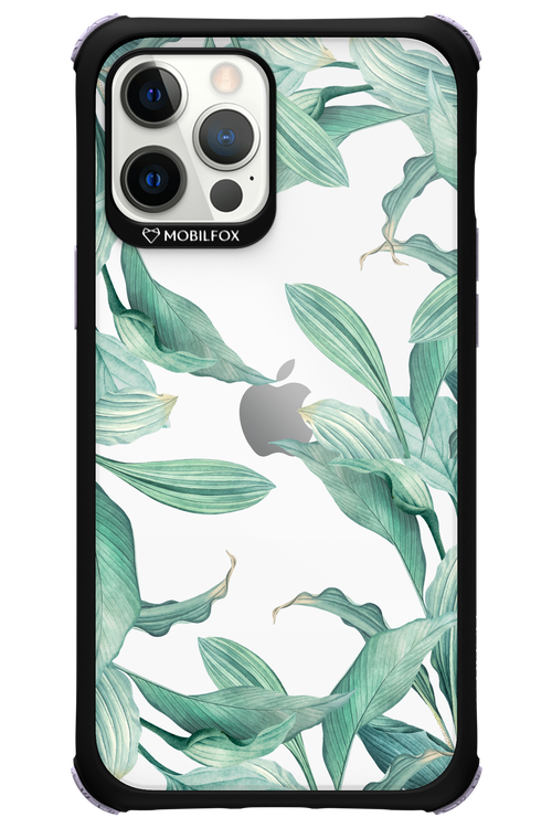 Greenpeace - Apple iPhone 12 Pro Max