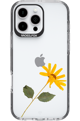 Pressed Flower - Apple iPhone 16 Pro Max