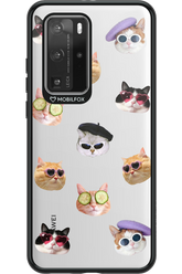 Cat Gang - Huawei P40 Pro