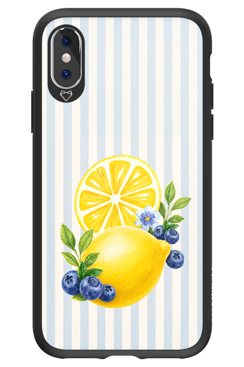 Fresh Flash 2.0 - Apple iPhone X