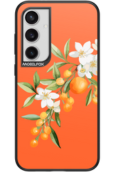 Amalfi Oranges - Samsung Galaxy S24+