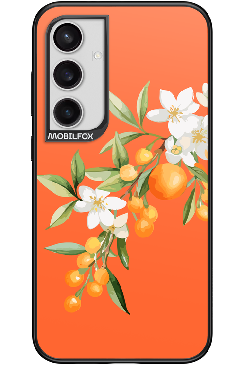Amalfi Oranges - Samsung Galaxy S24+