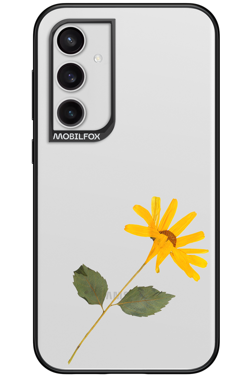 Pressed Flower - Samsung Galaxy S23 FE