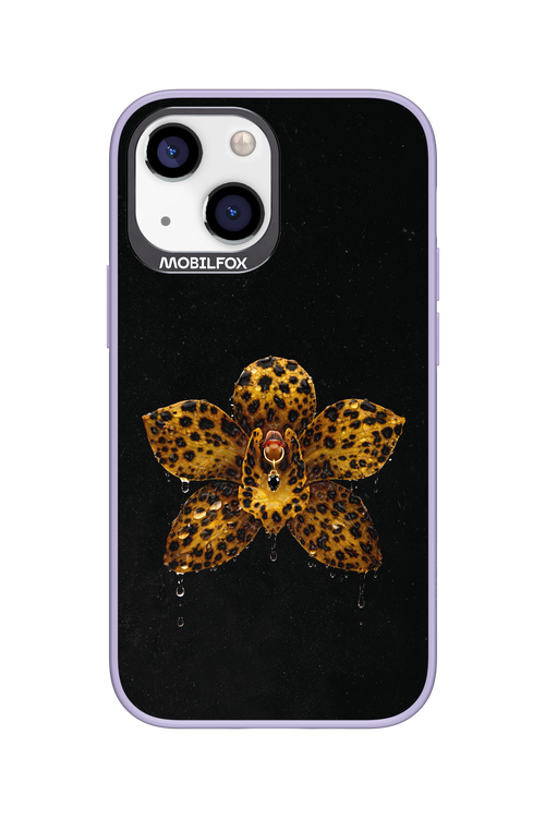 Wet & Wild 2.0 - Apple iPhone 13 Mini