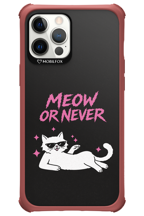 MEOW OR NEVER 2.0 - Apple iPhone 12 Pro Max