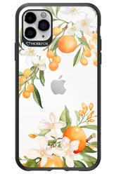 Amalfi Orange - Apple iPhone 11 Pro Max