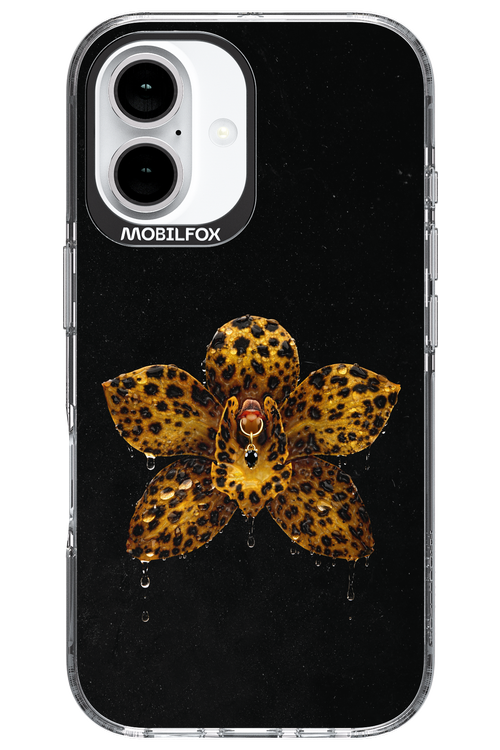 Wet & Wild 2.0 - Apple iPhone 16