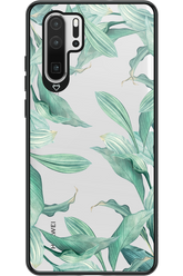 Greenpeace 2.0 - Huawei P30 Pro