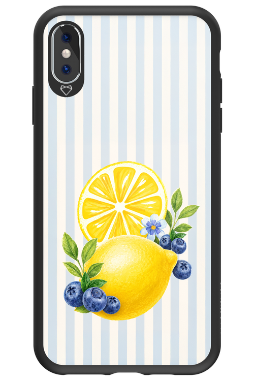 Fresh Flash 2.0 - Apple iPhone XS Max