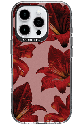 Amaryllis Mist - Apple iPhone 16 Pro