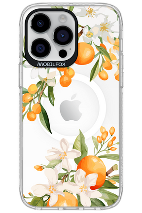 Amalfi Orange 2.0 - Apple iPhone 14 Pro Max