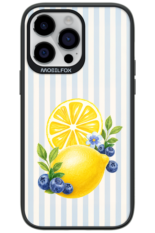 Fresh Flash 2.0 - Apple iPhone 14 Pro Max