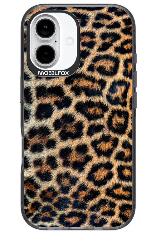 Leopard - Apple iPhone 16