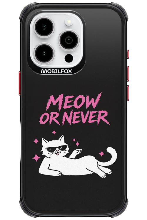 MEOW OR NEVER 2.0 - Apple iPhone 16 Pro