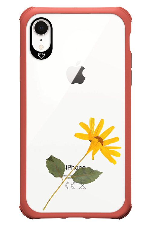 Pressed Flower - Apple iPhone XR