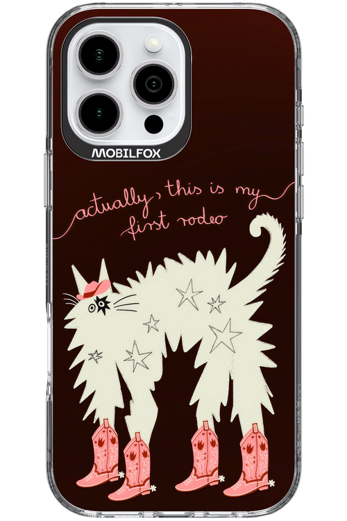 First rodeo 2.0 - Apple iPhone 16 Pro Max