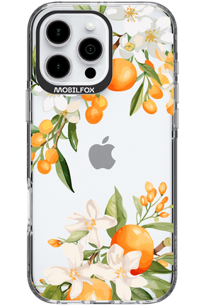 Amalfi Orange - Apple iPhone 16 Pro Max