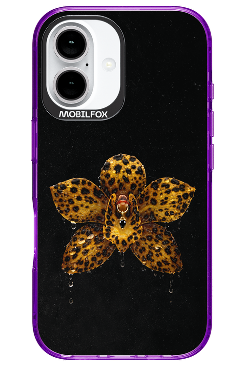 Wet & Wild 2.0 - Apple iPhone 16