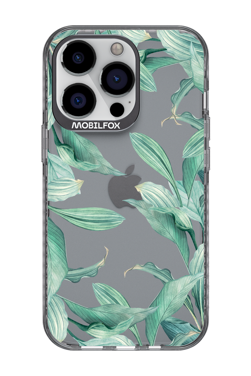 Greenpeace - Apple iPhone 13 Pro