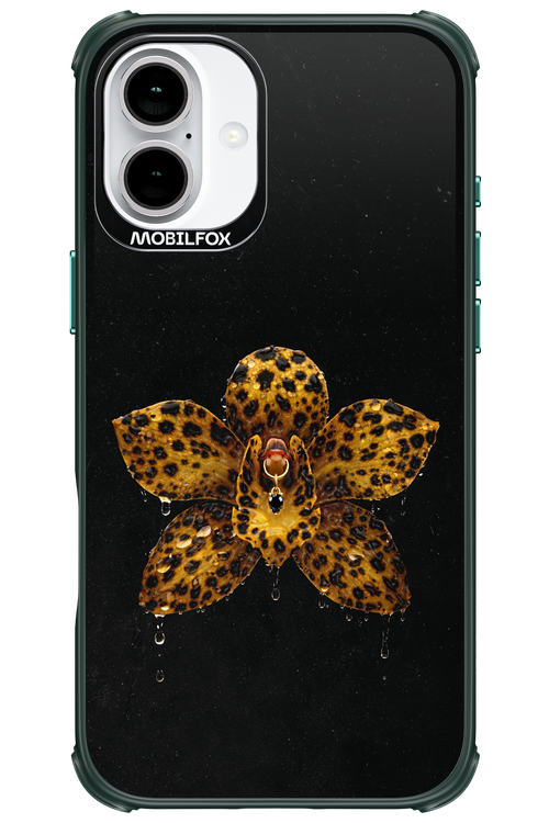 Wet & Wild 2.0 - Apple iPhone 16 Plus