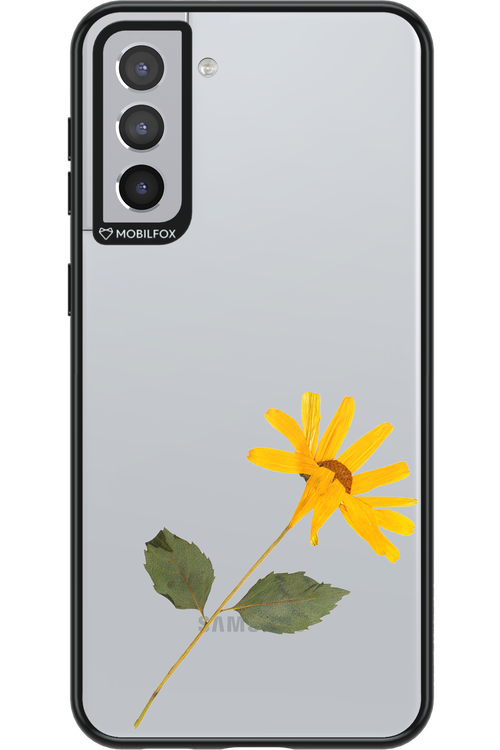 Pressed Flower - Samsung Galaxy S21+