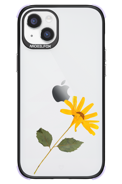Pressed Flower - Apple iPhone 14 Plus