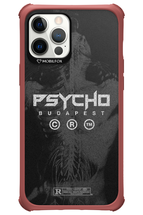 X-Ray - Apple iPhone 12 Pro Max