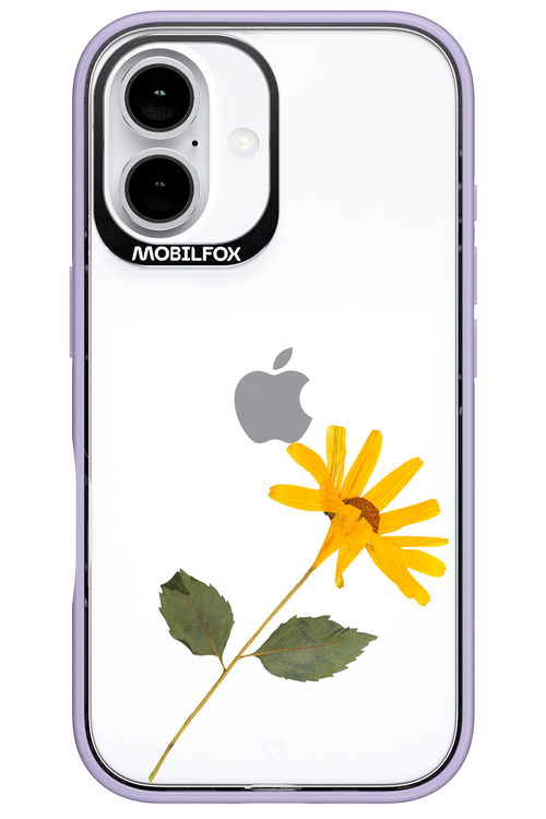 Pressed Flower - Apple iPhone 16