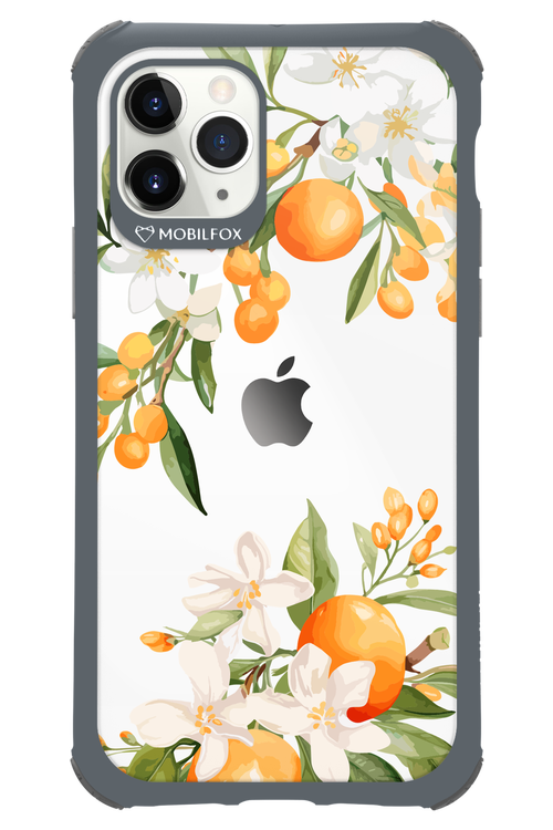 Amalfi Orange - Apple iPhone 11 Pro