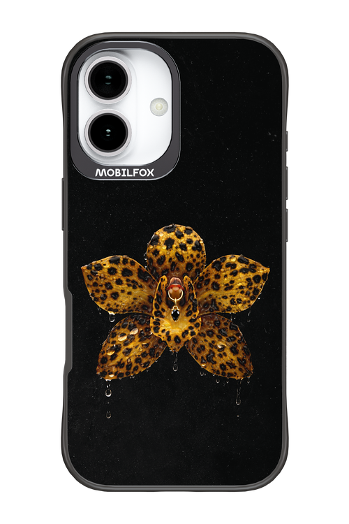 Wet & Wild 2.0 - Apple iPhone 17