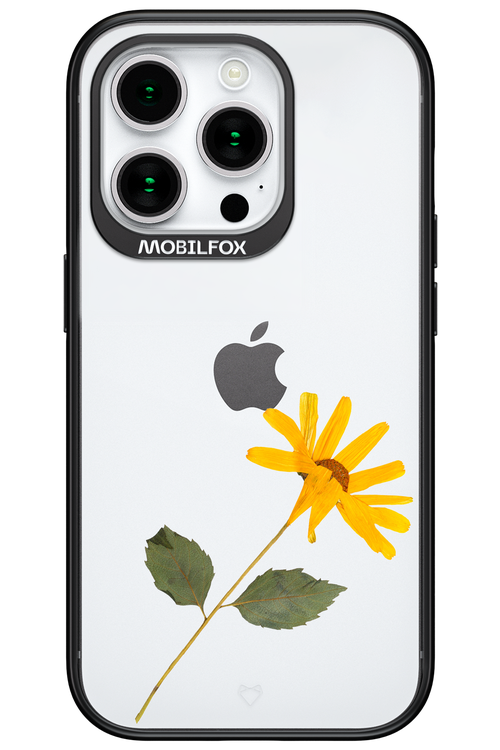 Pressed Flower - Apple iPhone 15 Pro