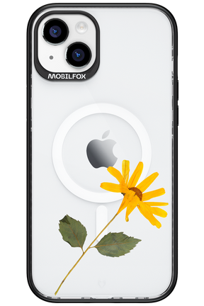 Pressed Flower - Apple iPhone 15 Plus