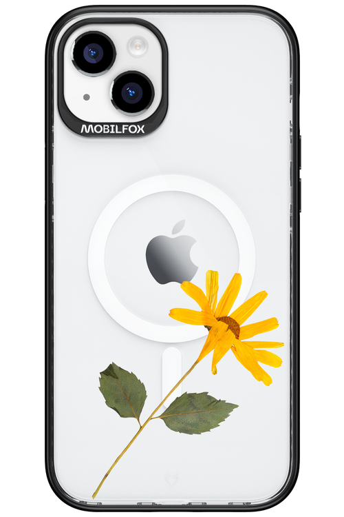 Pressed Flower - Apple iPhone 15 Plus
