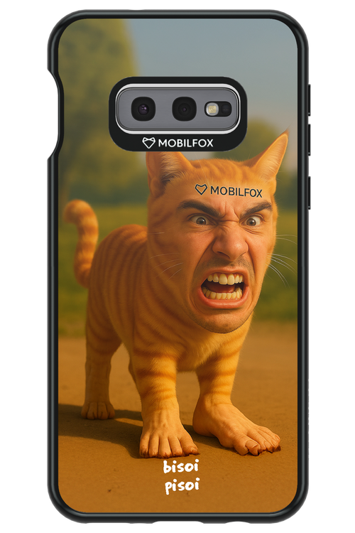 Bisoi Pisoi - Samsung Galaxy S10e