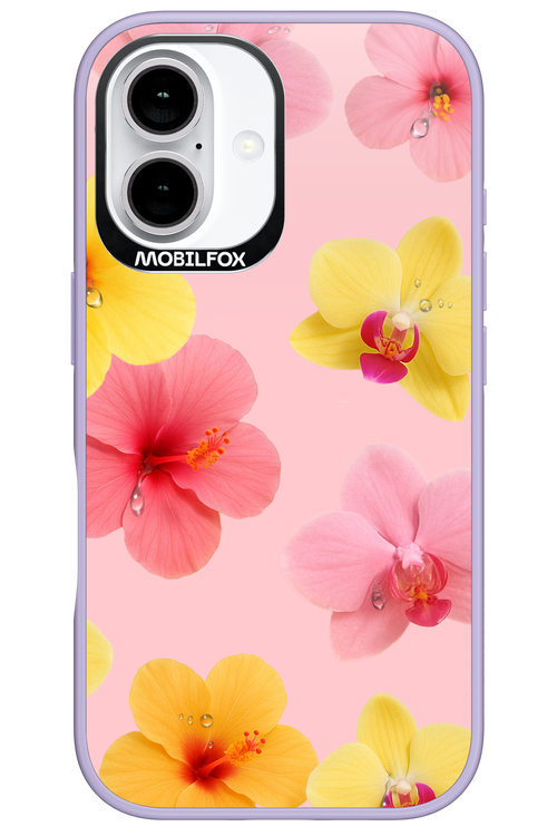 Sunset Flowers - Apple iPhone 16
