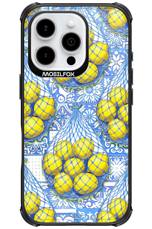 Net Style - Apple iPhone 16 Pro