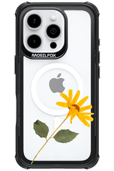 Pressed Flower - Apple iPhone 16 Pro