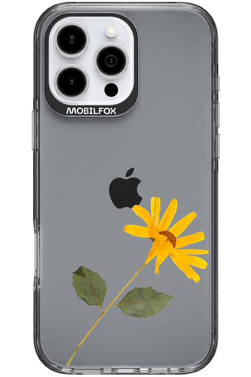 Pressed Flower - Apple iPhone 16 Pro Max