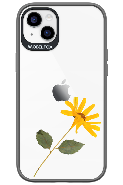 Pressed Flower - Apple iPhone 14 Plus