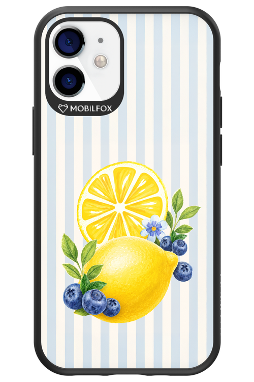 Fresh Flash 2.0 - Apple iPhone 12 Mini
