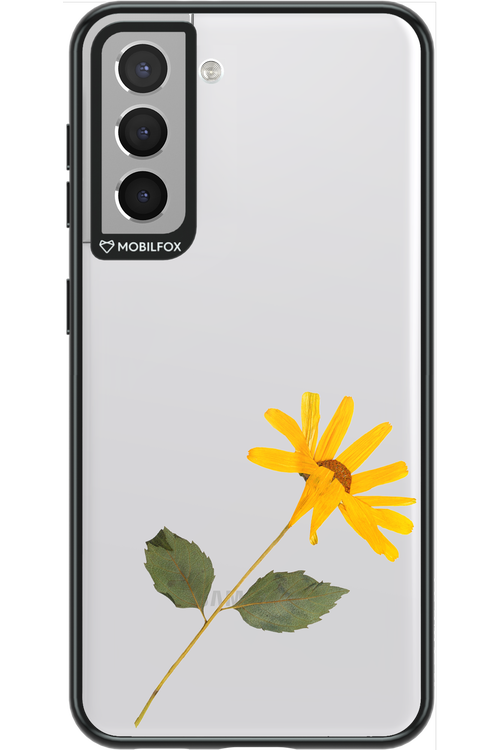 Pressed Flower - Samsung Galaxy S21