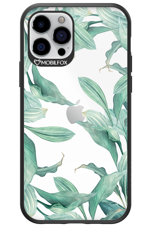 Greenpeace - Apple iPhone 12 Pro