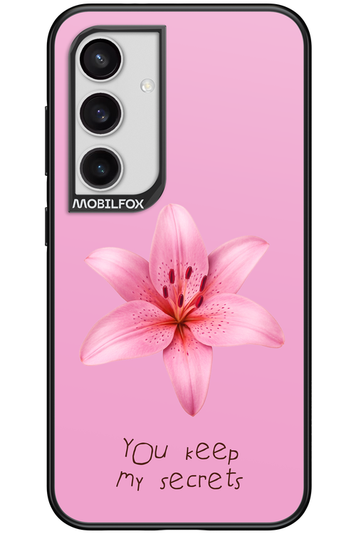 Secrets 2.0 - Samsung Galaxy S24