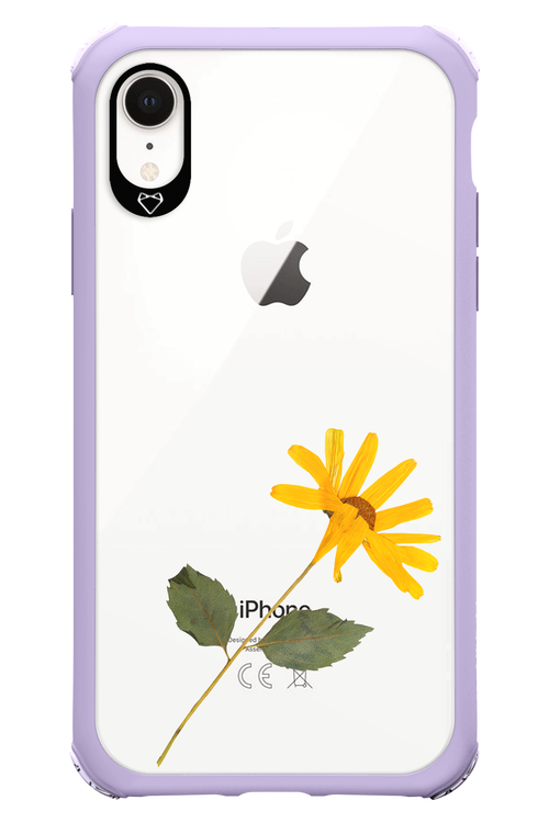 Pressed Flower - Apple iPhone XR