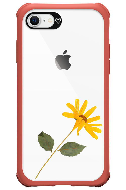 Pressed Flower - Apple iPhone 8