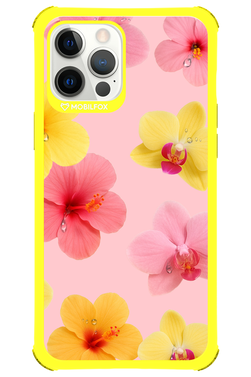 Sunset Flowers - Apple iPhone 12 Pro Max