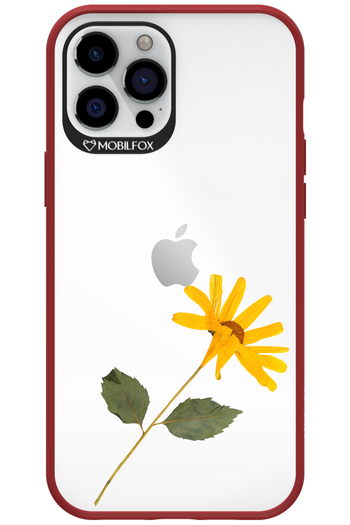 Pressed Flower - Apple iPhone 12 Pro Max